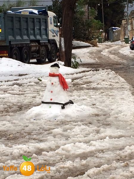 iceman lud 1213 (4).jpg